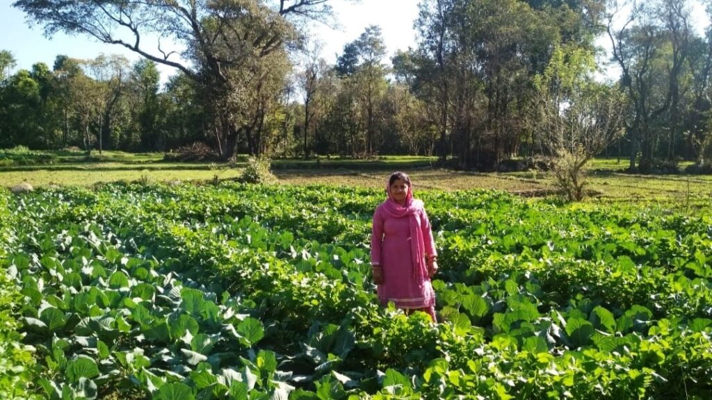 Himachal boosts agro-economy with farmer-centric initiatives for self-reliance Himachal boosts agro-economy with farmer-centric initiatives for self-reliance HIMACHAL HEADLINES