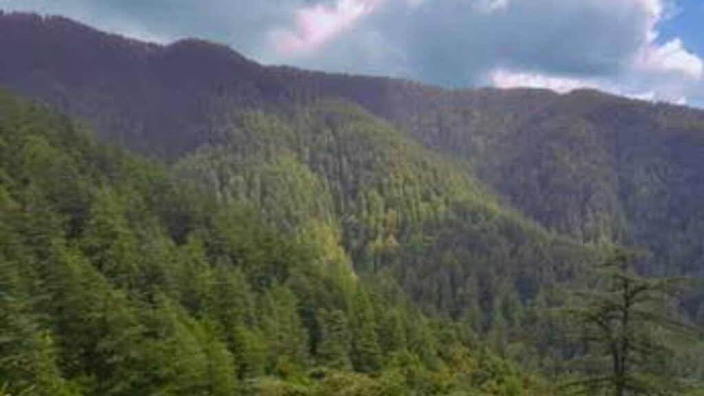 Himachal Government Announces Construction of a Sky Walk Bridge in Hassan Valley Himachal Government Announces Construction of a Sky Walk Bridge in Hassan Valley HIMACHAL HEADLINES