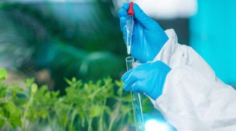 CSIR-IHBT to host 'One Week, One Theme' program focused on AgriNutribiotech HIMACHAL HEADLINES