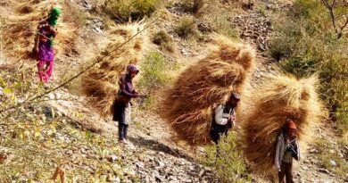 Keonthal women embrace modern tools to prepare for harsh winters HIMACHAL HEADLINES