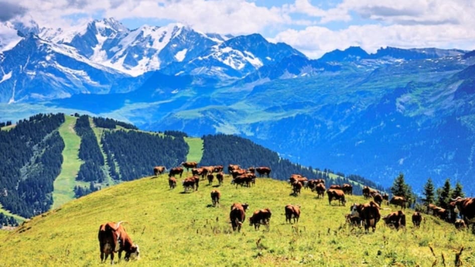 Himachal Pradesh Introduces e-KYC for Land Records to Enhance Transparency and Prevent Fraud Himachal Pradesh Introduces e-KYC for Land Records to Enhance Transparency and Prevent Fraud HIMACHAL HEADLINES