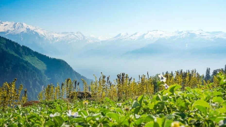 Himachal sets sights on rapid tourism development Himachal sets sights on rapid tourism development HIMACHAL HEADLINES