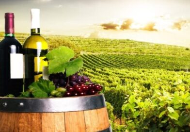 Nauni University launches wine-making course to nurture agri-entrepreneurs