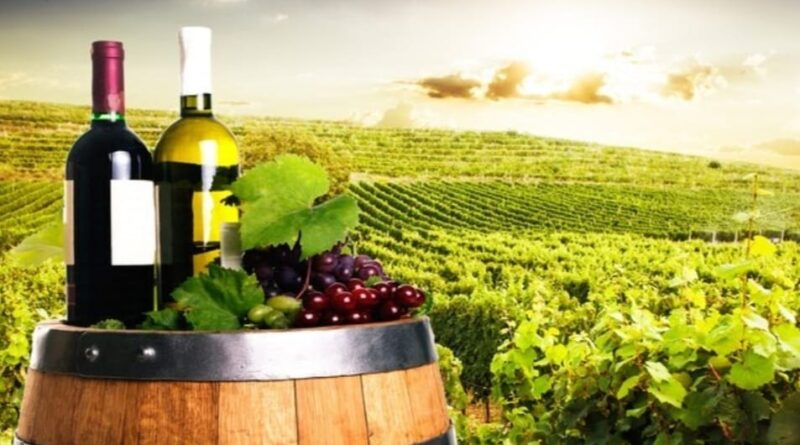 Himachal Govt grants license to HPMC to set up 86 crore winery at Parala of Theog HIMACHAL HEADLINES