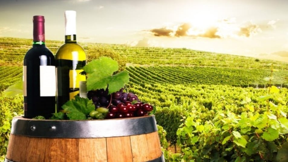 Nauni University launches wine-making course to nurture agri-entrepreneurs Nauni University launches wine-making course to nurture agri-entrepreneurs HIMACHAL HEADLINES