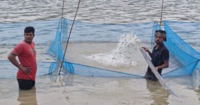 Meeting organised on fish production as an important livelihood in Himachal Meeting organised on fish production as an important livelihood in Himachal HIMACHAL HEADLINES