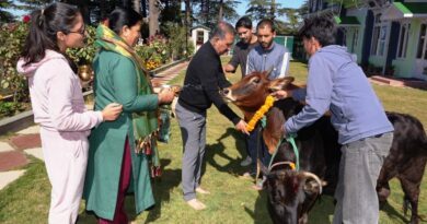 Sukhu, along with his family performed Govardhan Puja HIMACHAL HEADLINES