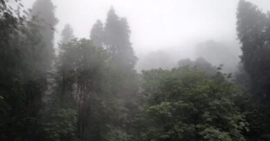 Winter takes hold in Himachal: Temperatures plunge, fog alerts issued for weekend HIMACHAL HEADLINES