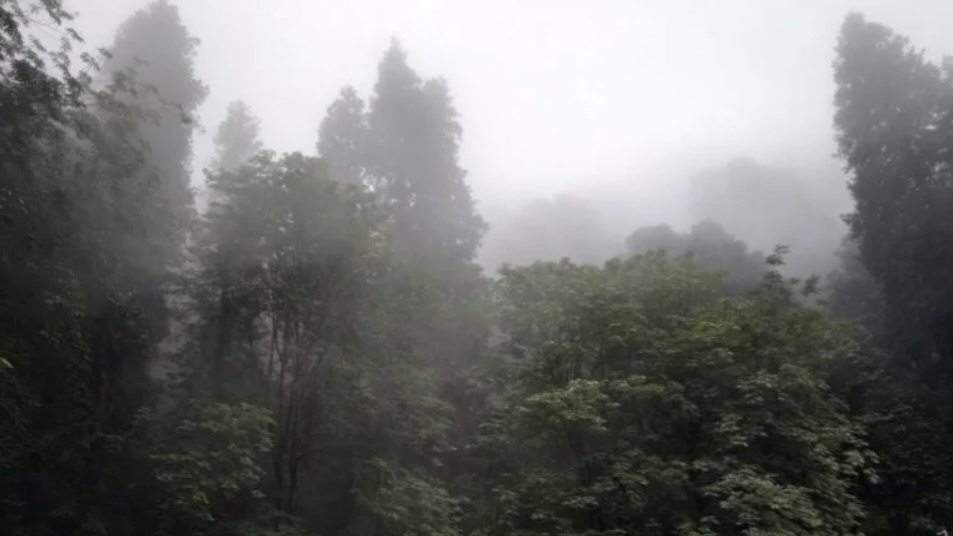 Winter takes hold in Himachal: Temperatures plunge, fog alerts issued for weekend HIMACHAL HEADLINES
