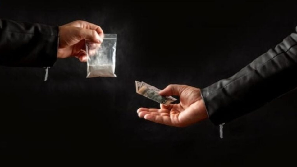 Himachal Police bust major drug syndicate, Arrest 16 in Rohru-Chirgaon crackdown HIMACHAL HEADLINES