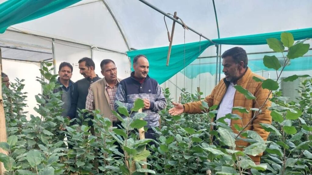 Horticulture Secretary C. Paularasu Visits Shiva Project Cluster in Dheluhar Horticulture Secretary C. Paularasu Visits Shiva Project Cluster in Dheluhar HIMACHAL HEADLINES