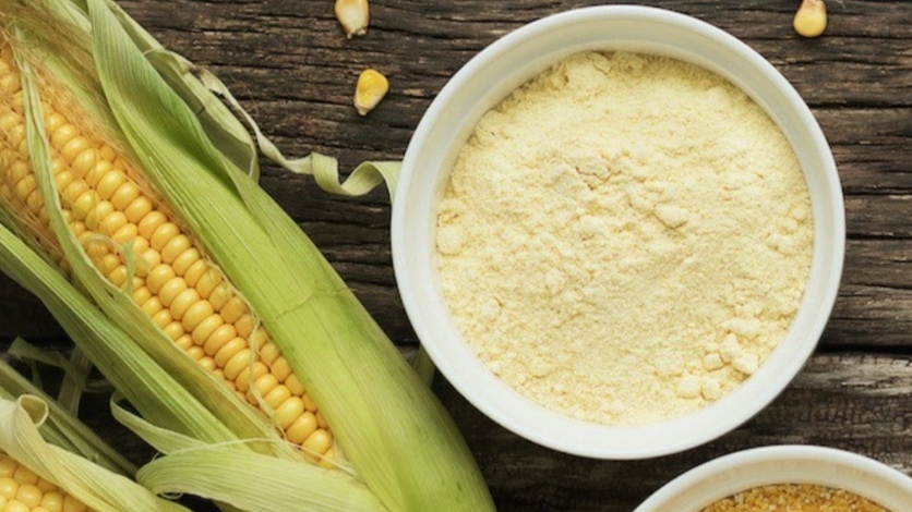 Himachal Government to launch ‘Himbhog’ maize flour produced through natural farming Himachal Government to launch ‘Himbhog’ maize flour produced through natural farming HIMACHAL HEADLINES