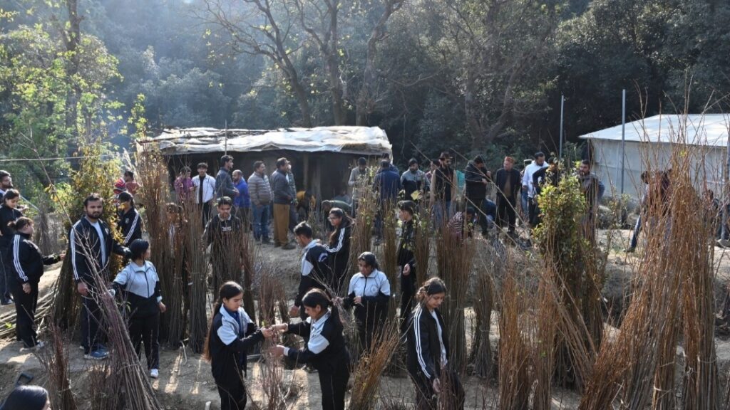 Nauni varsity to hold sale of fruit plants from 16 Dec HIMACHAL HEADLINES