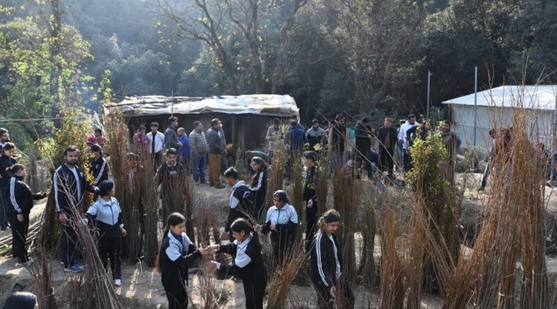 Nauni varsity to hold sale of fruit plants from 16 Dec HIMACHAL HEADLINES