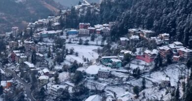 Himachal freezes after fresh snowfall: Yellow alert issued for cold wave Himachal freezes after fresh snowfall: Yellow alert issued for cold wave HIMACHAL HEADLINES