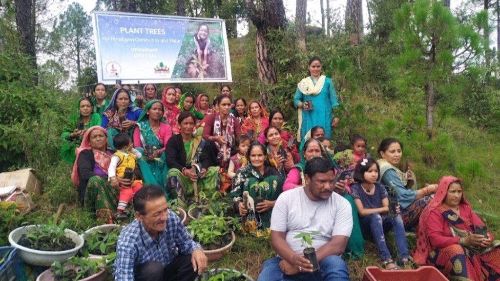 International Mountain Day: Afforestation initiatives repair the Himalayan ecosystem HIMACHAL HEADLINES