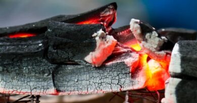 Tragic Incident in Solan: Three Youths Die of Suspected Asphyxiation HIMACHAL HEADLINES