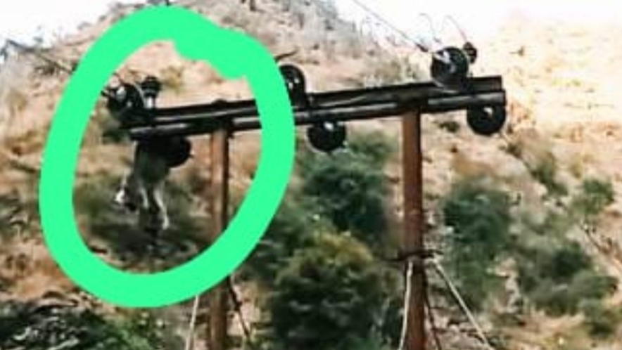 Peeran Panchayat faced a 17-hour power cut due to a monkey hanging on the power line HIMACHAL HEADLINES