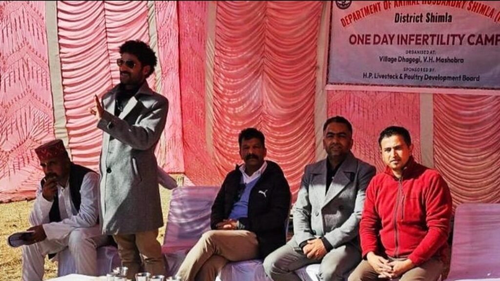 Animal Husbandry Department organized an animal infertility camp in the Dhagogi village Animal Husbandry Department organized an animal infertility camp in the Dhagogi village HIMACHAL HEADLINES