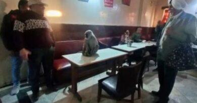 When Nature Visits: Langur Stirs Up Excitement at Shimla's Indian Coffee House HIMACHAL HEADLINES
