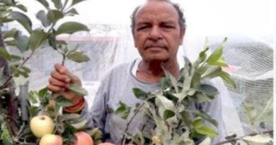 Hariman Sharma: The Himachali Farmer Revolutionizing Apple Cultivation in Warmer Climates Hariman Sharma: The Himachali Farmer Revolutionizing Apple Cultivation in Warmer Climates HIMACHAL HEADLINES