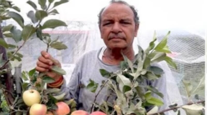 Hariman Sharma: The Himachali Farmer Revolutionizing Apple Cultivation in Warmer Climates HIMACHAL HEADLINES