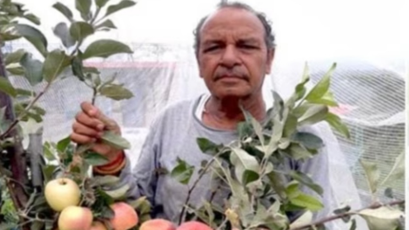 Hariman Sharma: The Himachali Farmer Revolutionizing Apple Cultivation in Warmer Climates Hariman Sharma: The Himachali Farmer Revolutionizing Apple Cultivation in Warmer Climates HIMACHAL HEADLINES