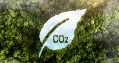 Carbon credit committee constituted in Himachal to explore carbon market for generating additional revenue Carbon credit committee constituted in Himachal to explore carbon market for generating additional revenue HIMACHAL HEADLINES