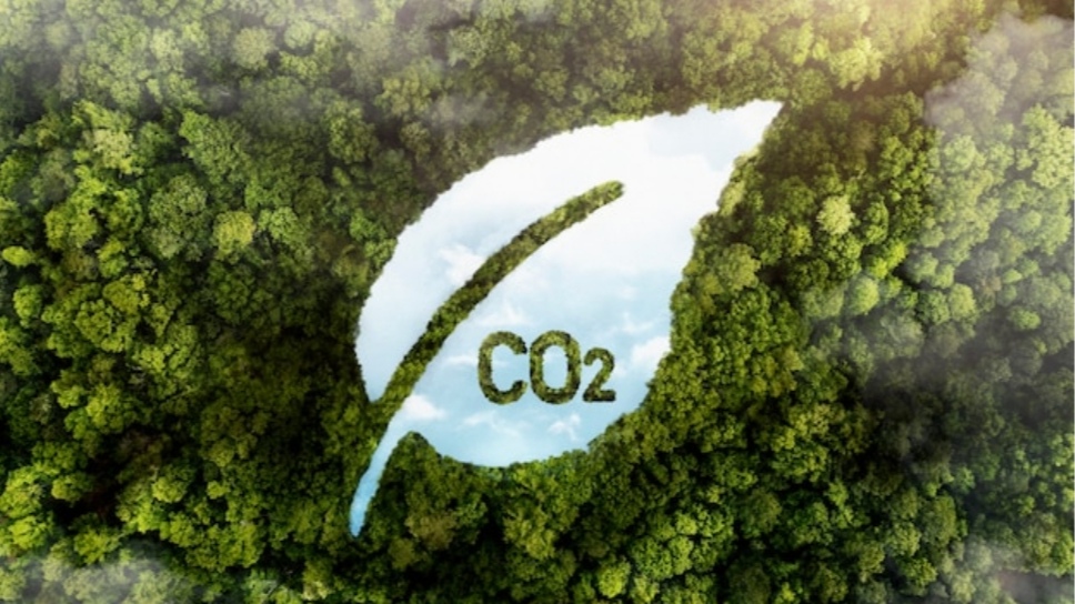 Carbon credit committee constituted in Himachal to explore carbon market for generating additional revenue Carbon credit committee constituted in Himachal to explore carbon market for generating additional revenue HIMACHAL HEADLINES