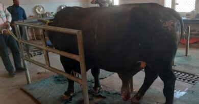 Veterinary Hospital in Laladi Performs Life-Saving Surgery, Setting New Standards in Animal Care HIMACHAL HEADLINES