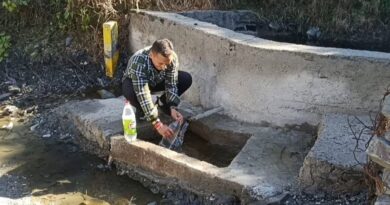 The Legacy of Gumma Salt: A Taste Preserved in Water The Legacy of Gumma Salt: A Taste Preserved in Water HIMACHAL HEADLINES
