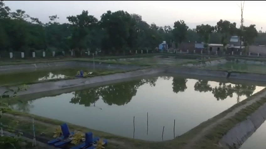 Himachal’s Carp Fish Pond Scheme: A Golden Opportunity for Self-Employment HIMACHAL HEADLINES