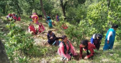 Forest Evictions and Implementation of the Forest Rights Act in Himachal Pradesh: A Critical Overview Forest Evictions and Implementation of the Forest Rights Act in Himachal Pradesh: A Critical Overview HIMACHAL HEADLINES