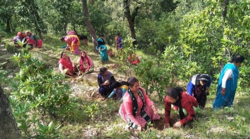 Communities Stand United: Himachal’s Grassroots Groups Demand Protection of Forest Rights Communities Stand United: Himachal’s Grassroots Groups Demand Protection of Forest Rights HIMACHAL HEADLINES