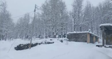 Himachal receives fresh snowfall: Travel disruptions and cold wave grips the region Himachal receives fresh snowfall: Travel disruptions and cold wave grips the region HIMACHAL HEADLINES