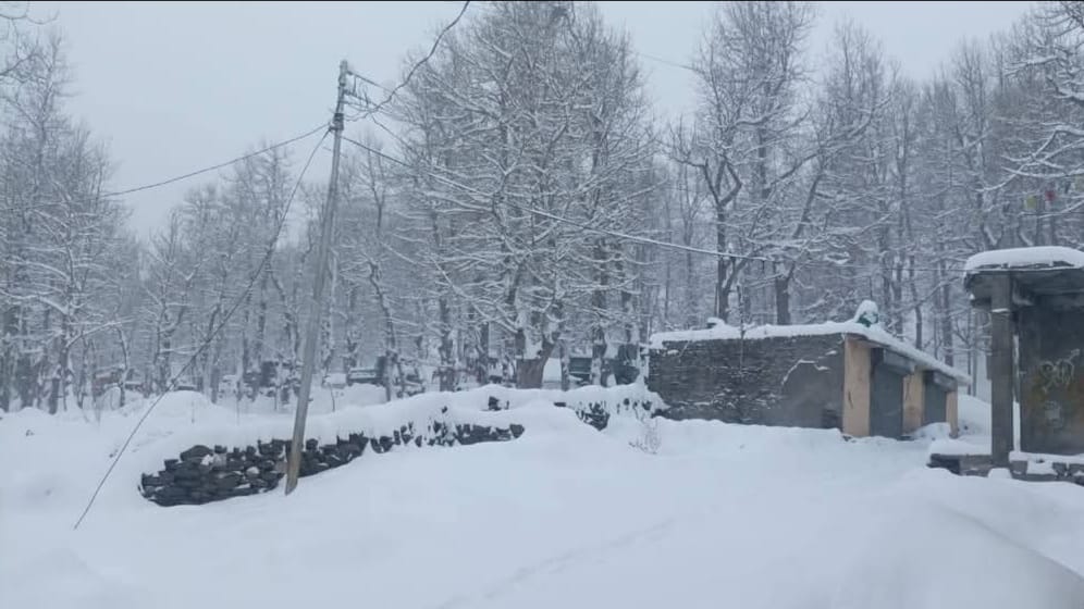 Himachal receives fresh snowfall: Travel disruptions and cold wave grips the region HIMACHAL HEADLINES