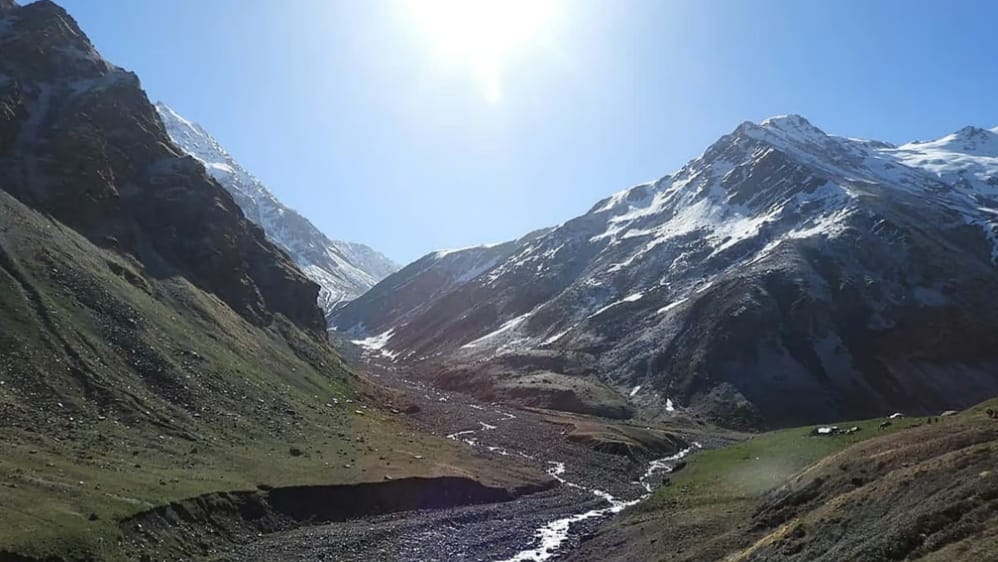 Tirthan River in Crisis: Hotels, Pollution, and the Struggle to Save Rainbow Trout HIMACHAL HEADLINES