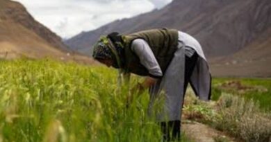 Thunag Horticulture College to Host Two-Day National Conference on Indigenous Knowledge System for a Sustainable Future Thunag Horticulture College to Host Two-Day National Conference on Indigenous Knowledge System for a Sustainable Future HIMACHAL HEADLINES