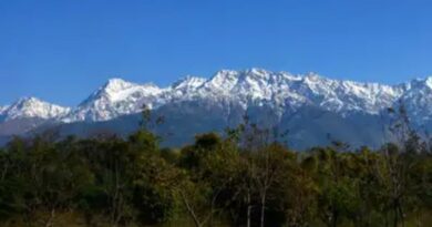 Himachal records significant growth in forest cover: Sukhu Himachal records significant growth in forest cover: Sukhu HIMACHAL HEADLINES