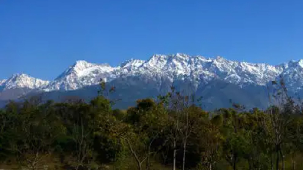 Himachal records significant growth in forest cover: Sukhu Himachal records significant growth in forest cover: Sukhu HIMACHAL HEADLINES