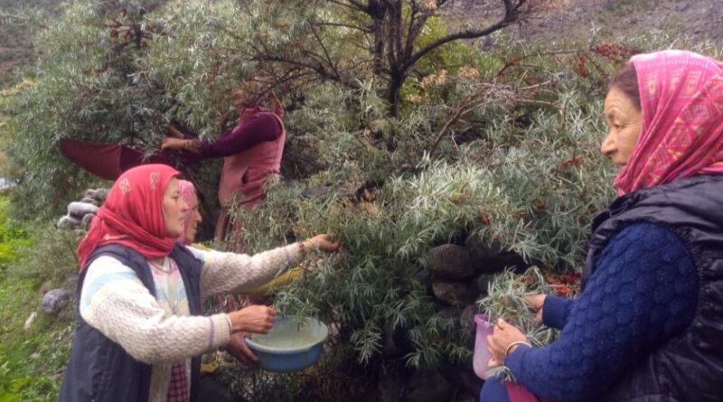 Himira empowering rural women, Driving transformation HIMACHAL HEADLINES