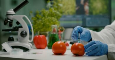 Shoolini Lifesciences' food testing lab achieves NABL accreditation: A milestone for Himachal Shoolini Lifesciences' food testing lab achieves NABL accreditation: A milestone for Himachal HIMACHAL HEADLINES