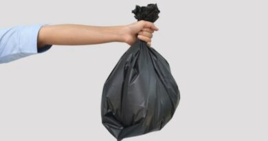 Shimla's New Clean-Up Drive: Tourists to Carry Garbage Bags HIMACHAL HEADLINES