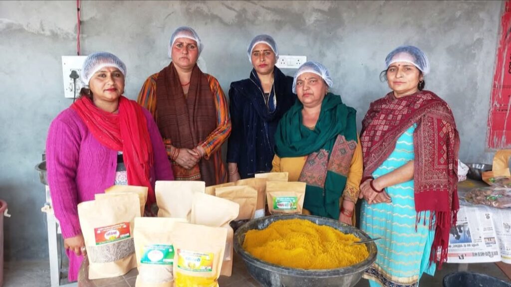 National Rural Livelihood Mission is Strengthening Women's Economic Standing HIMACHAL HEADLINES
