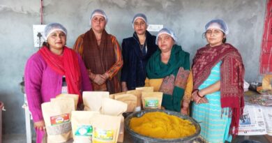 National Rural Livelihood Mission is Strengthening Women's Economic Standing HIMACHAL HEADLINES