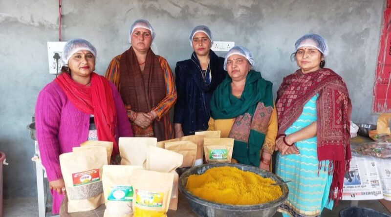 National Rural Livelihood Mission is Strengthening Women's Economic Standing HIMACHAL HEADLINES