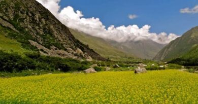 Target to bring an additional 30,000 Acre under natural farming in 2023-24 under PK3 Yojana Target to bring an additional 30,000 Acre under natural farming in 2023-24 under PK3 Yojana HIMACHAL HEADLINES