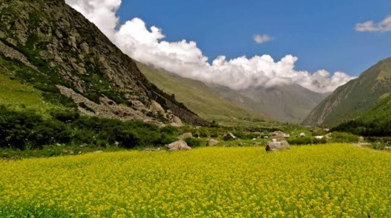 CM Sukhu stresses on promotion of natural farming for agricultural transformation HIMACHAL HEADLINES