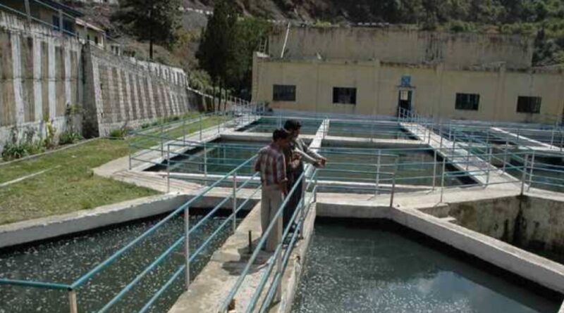 Himachal Pradesh Faces Water Woes as March Rainfall Falls Short HIMACHAL HEADLINES