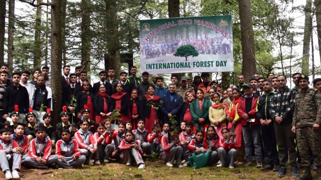 Plantation drive by 133 Eco task force for forest conservation HIMACHAL HEADLINES